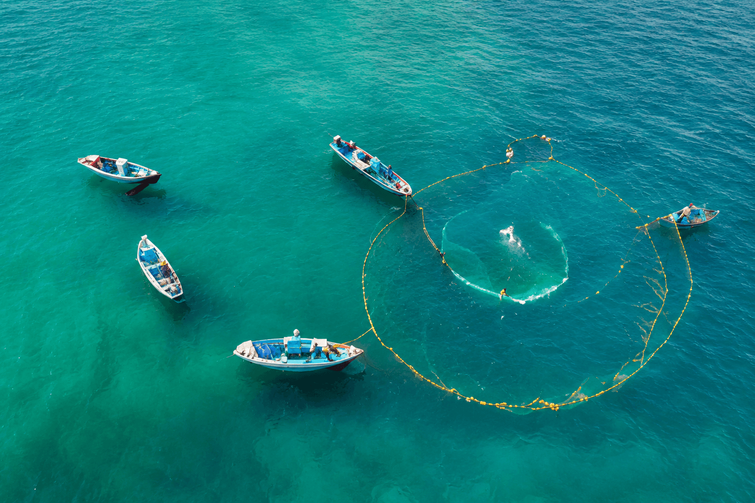 Sustainable fisheries and healthy marine ecosystems
